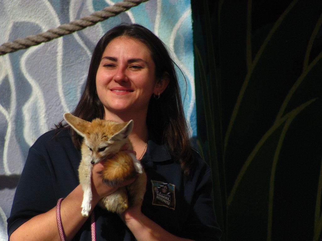 Universal's Animal Actors Show at Universal Studios Flickr