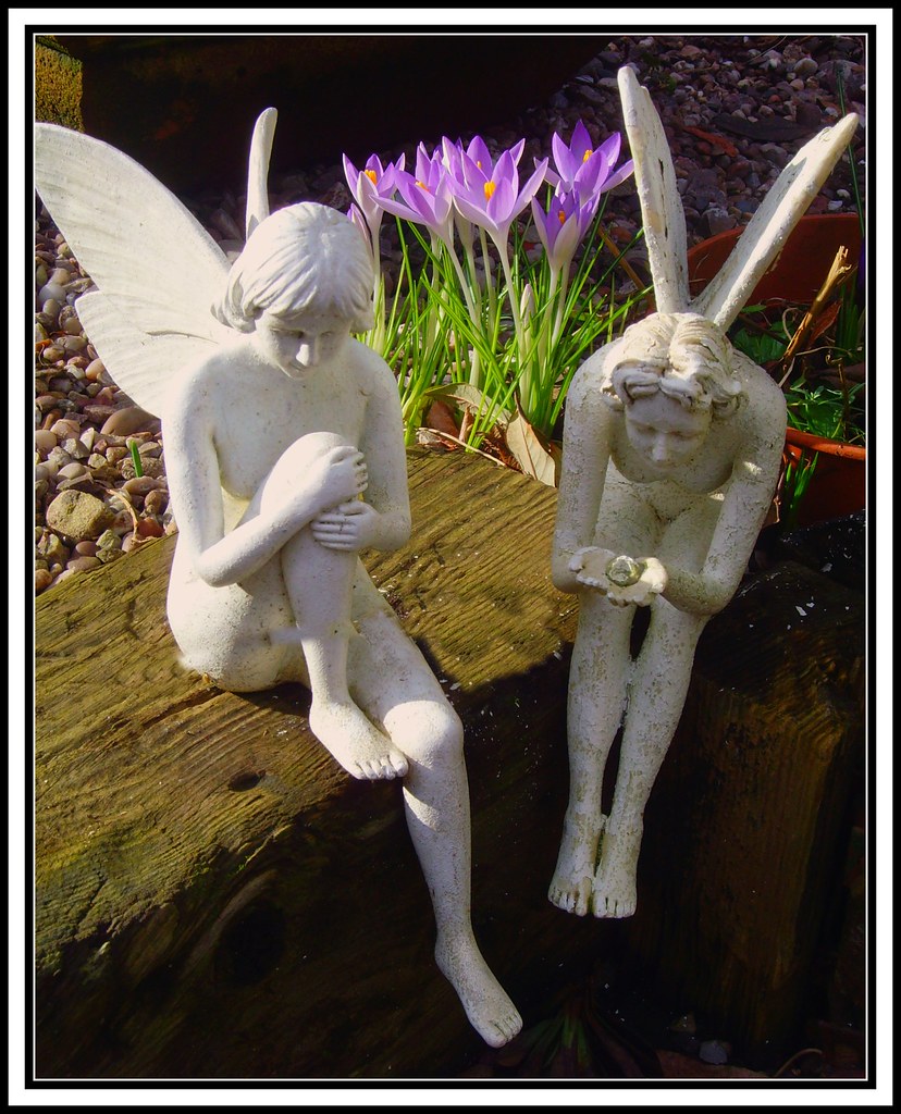 FAIRIES THERE are fairies at the bottom of our garden! It'… Flickr