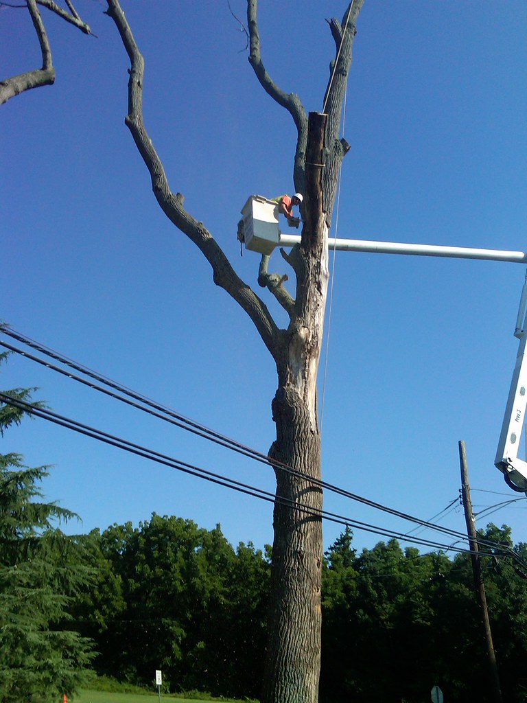 poplar job cumberland 021 Paul Biester Flickr