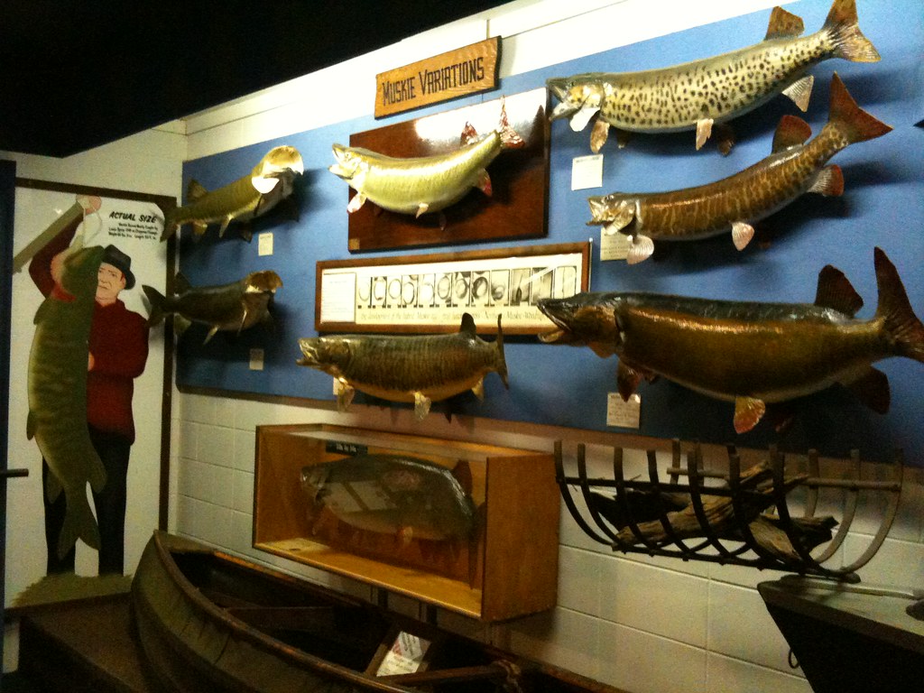 National Freshwater Fishing Hall of Fame and Museum Flickr