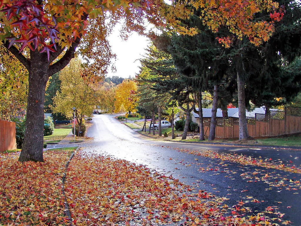 Fall Colors in Southwest Eugene Fall is a beautiful time i… Flickr