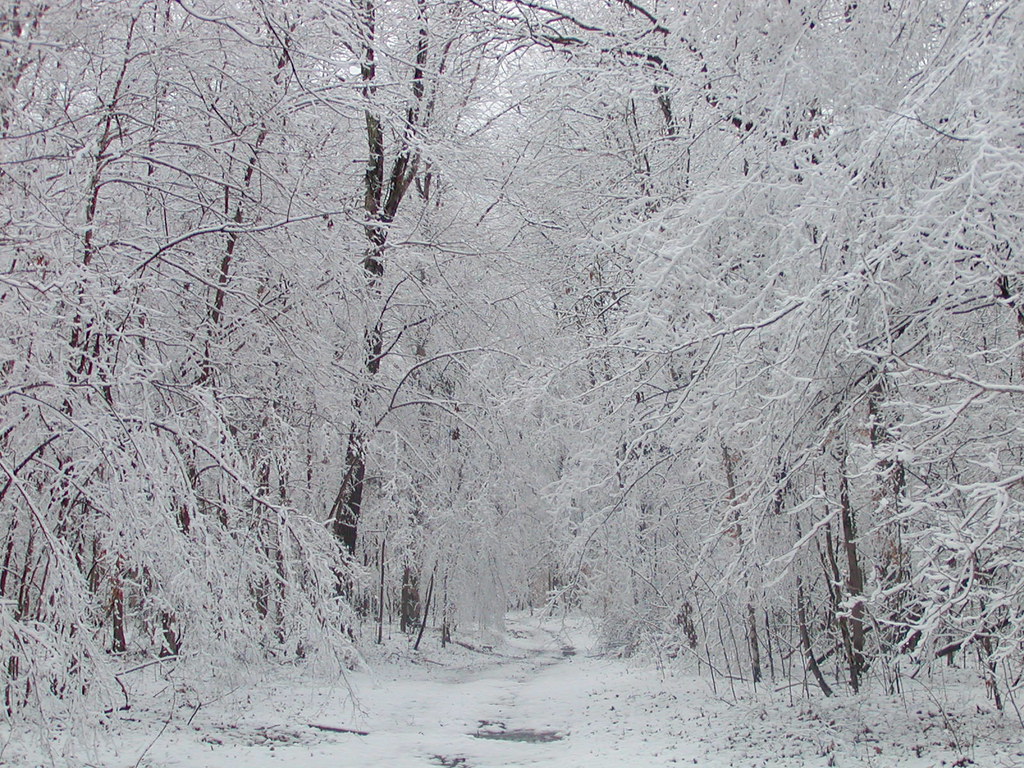 scenary29 scenary29 Yellow Creek Outfitters Flickr