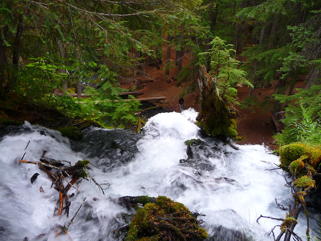 Clearwater Falls from top Looking down towards the bottom.… Flickr