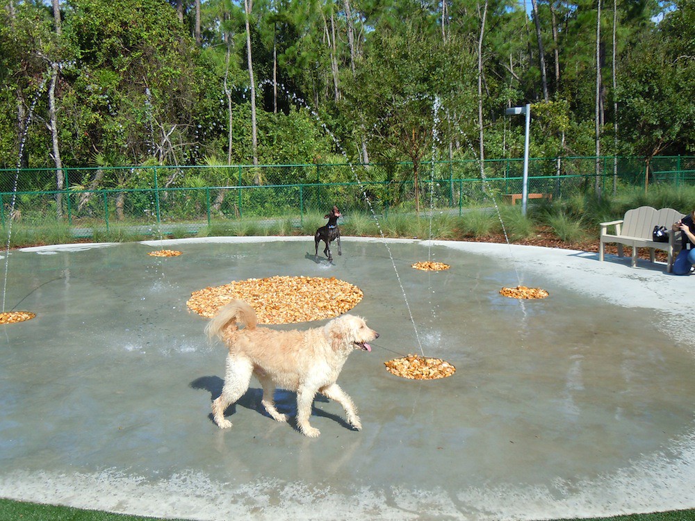 Outdoor dog park with water features Inside the Magic Flickr