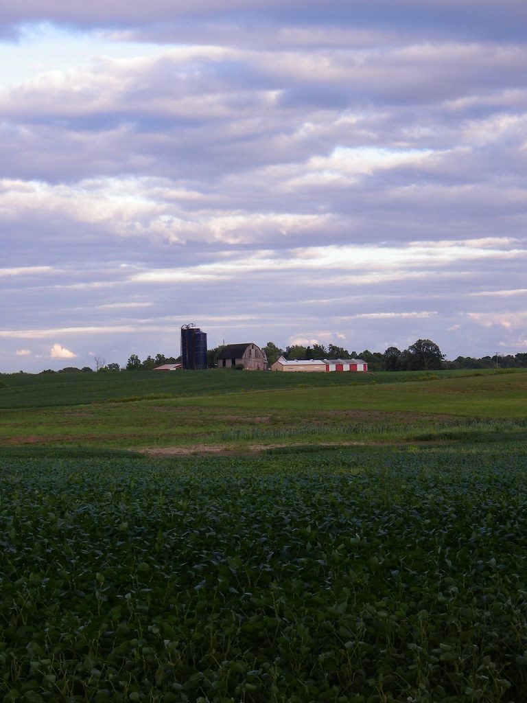Farms Around Saline, Michigan Wonderful farmland around Sa… Flickr