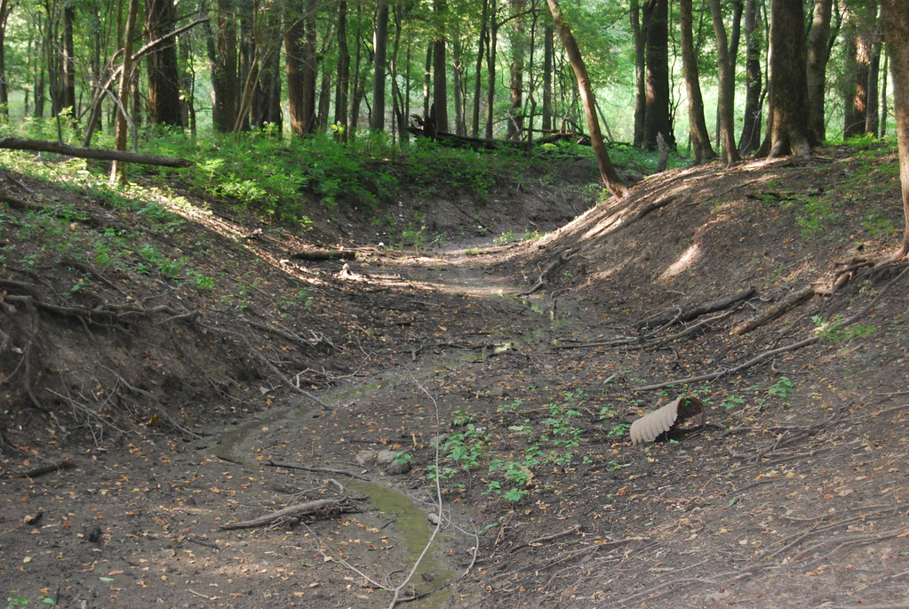 Rosedale Lake Restoration A stone weir that helped contain… Flickr