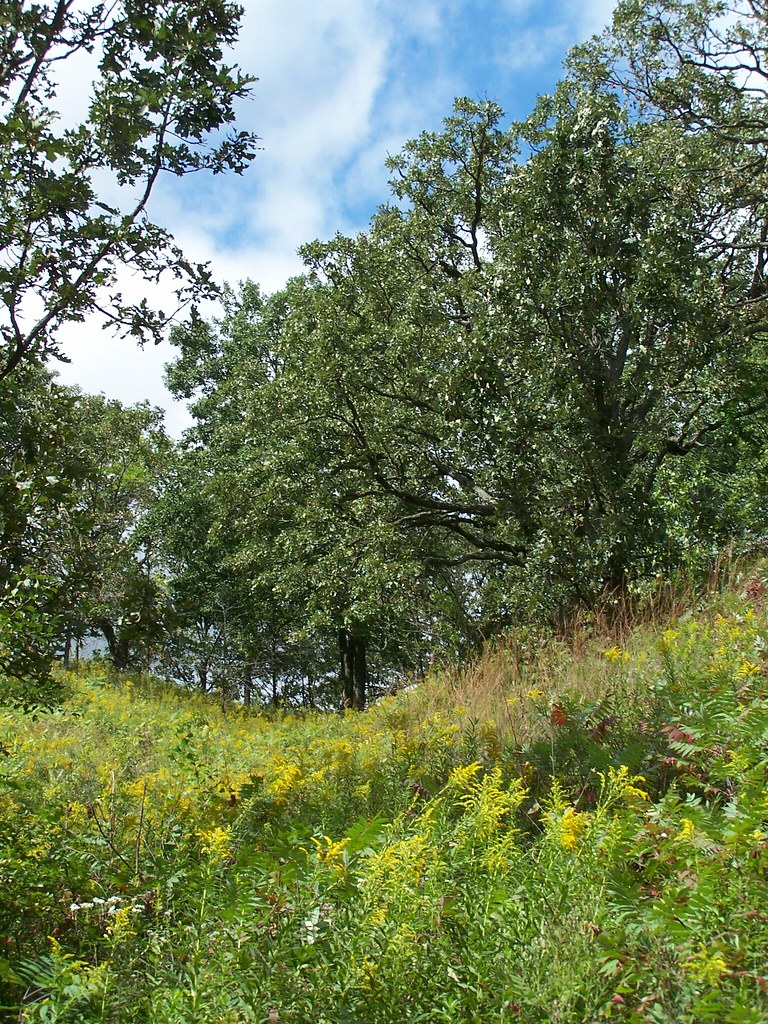 Oak Opening Kettle Moraine Southern Unit, Kettle Moraine … Flickr