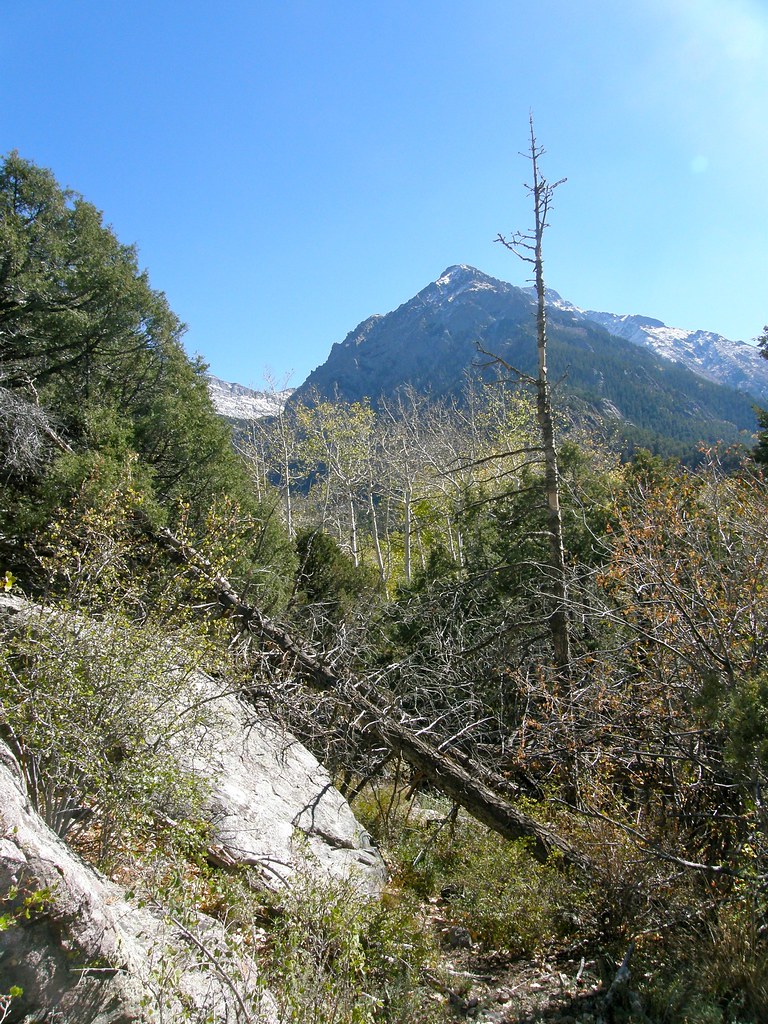 Willow Creek Lakes Trail Vicki Devine Flickr