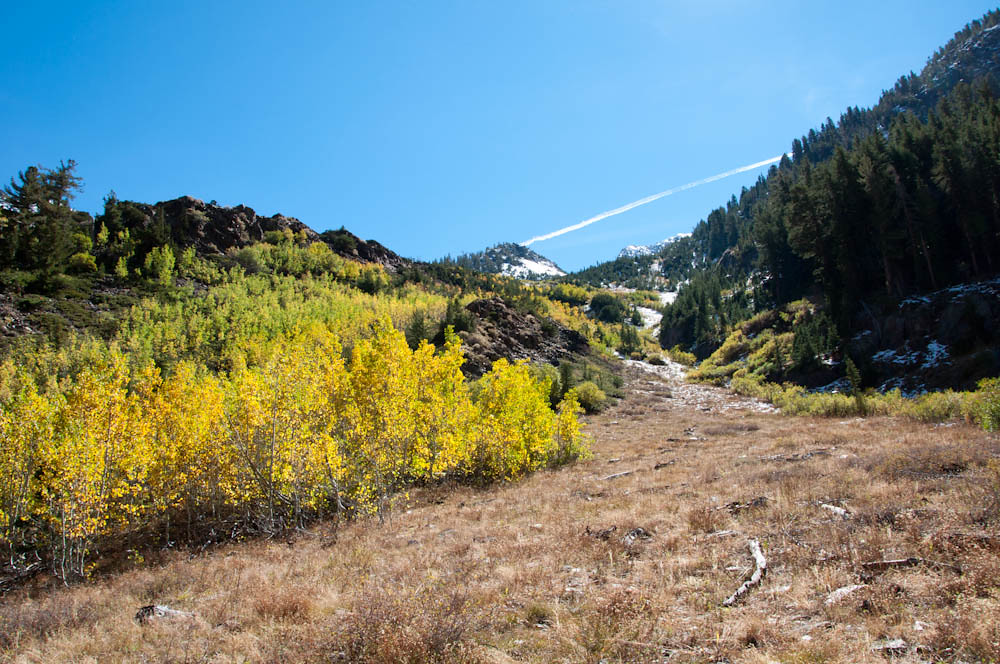Lundy Lake Trail Marc Mosko Flickr