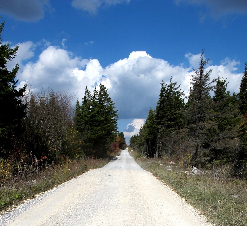 Dolly Sods The Dolly Sods area is a high plateau region in… Flickr