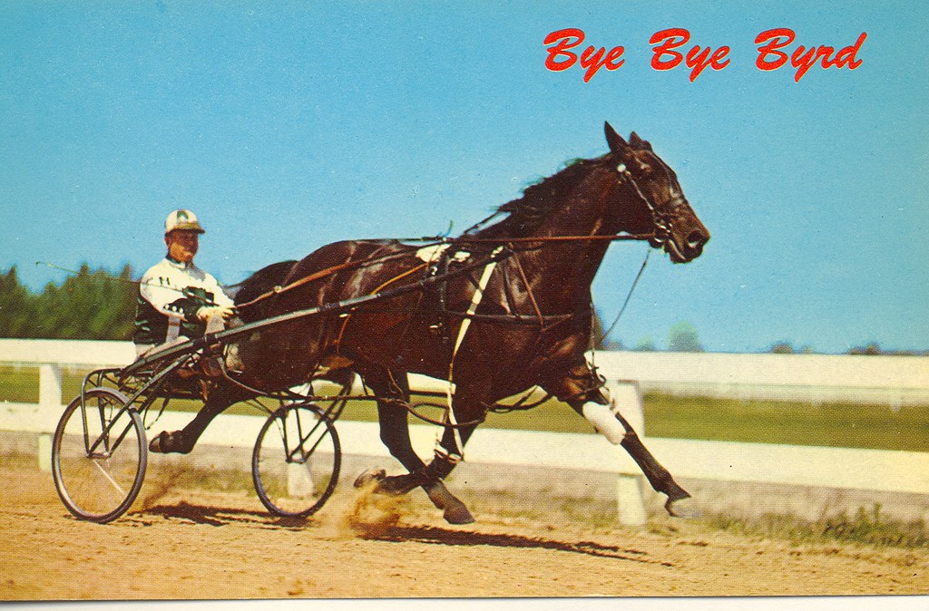 Horse Racing Lexington KY Poplar Hill Farms Big Winner Pac… Flickr