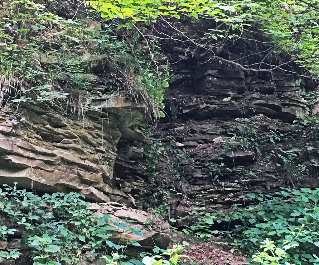 Sandstones (Lithopolis Member, Cuyahoga Formation, Lower Mississippian