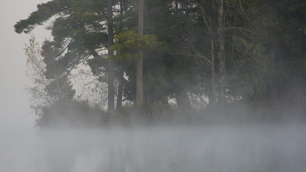 Erie Morning Fog Woodland Lake, Northern Newaygo County. S… Flickr