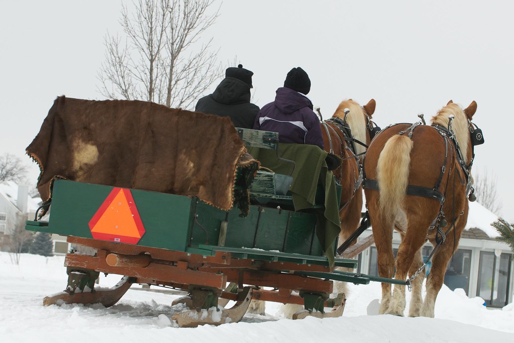 2011 Horse and Sleigh Festival Woodbury, MN Once again, … Flickr