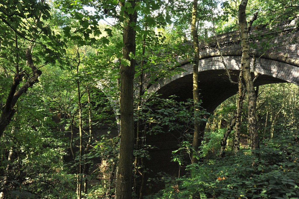 A railway walk near Crigglestone viaduct in the woods Flickr