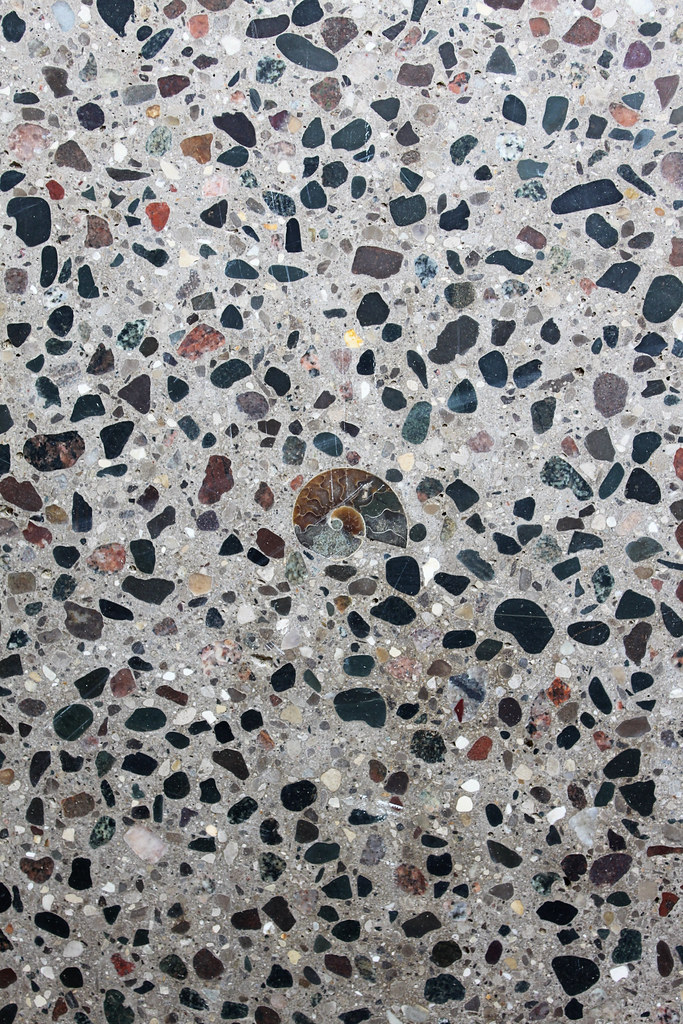 200 grit polished concrete porch, steps, and walkway pebble Davis