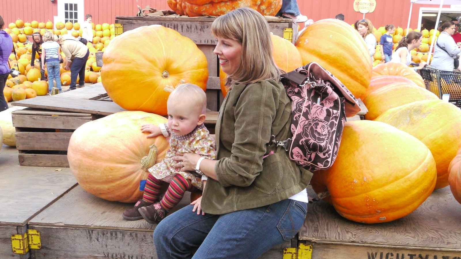 2010 Apple Picking Flickr