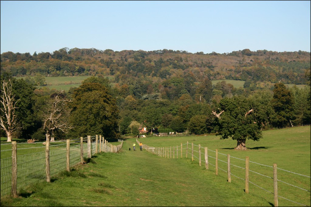 Albury Park Albury, Surrey Jon Combe Flickr