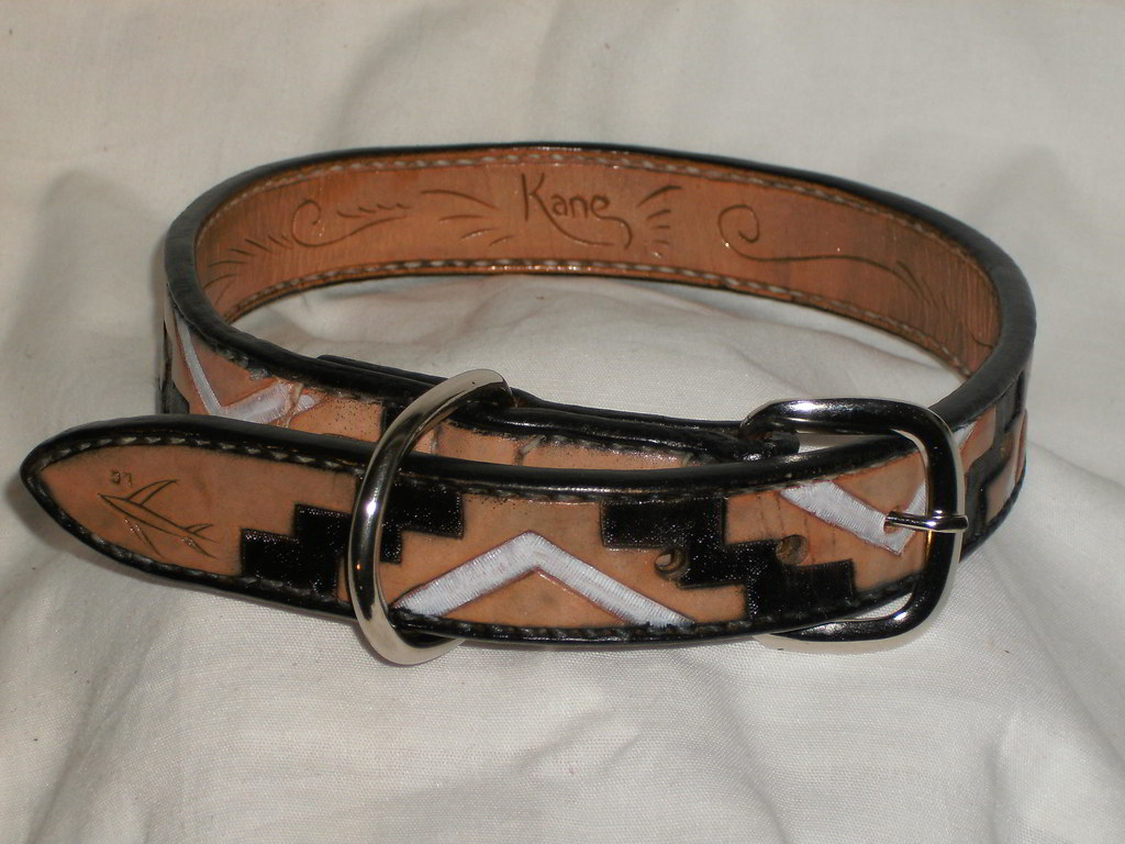 Animal collar Leather collar constructed of a 9oz. and a 4… Flickr