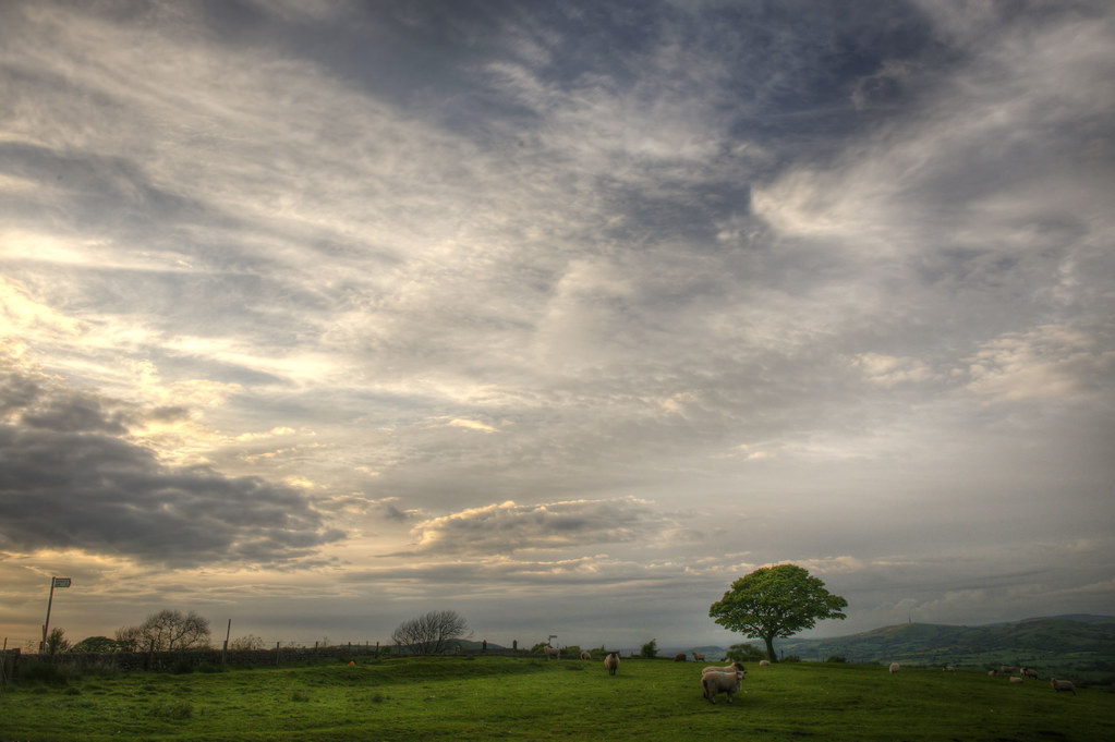 Biddulph Moor GREG WOOLLISCROFT Flickr