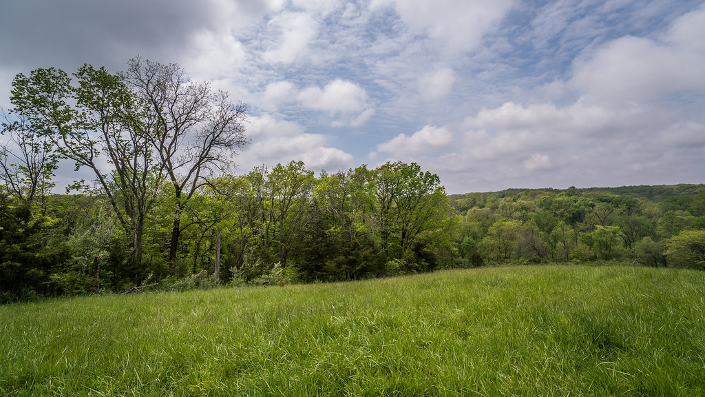 LandCo Land for Sale3.jpg brooke williams Flickr