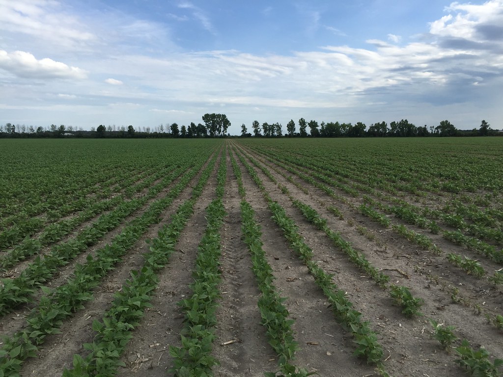 Balance Flexx split rows Rows to the left were not previou… Flickr