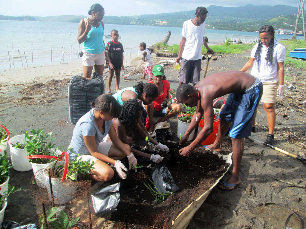 Telescope Volunteer Day (3) Grenada Fund for Conservation Flickr