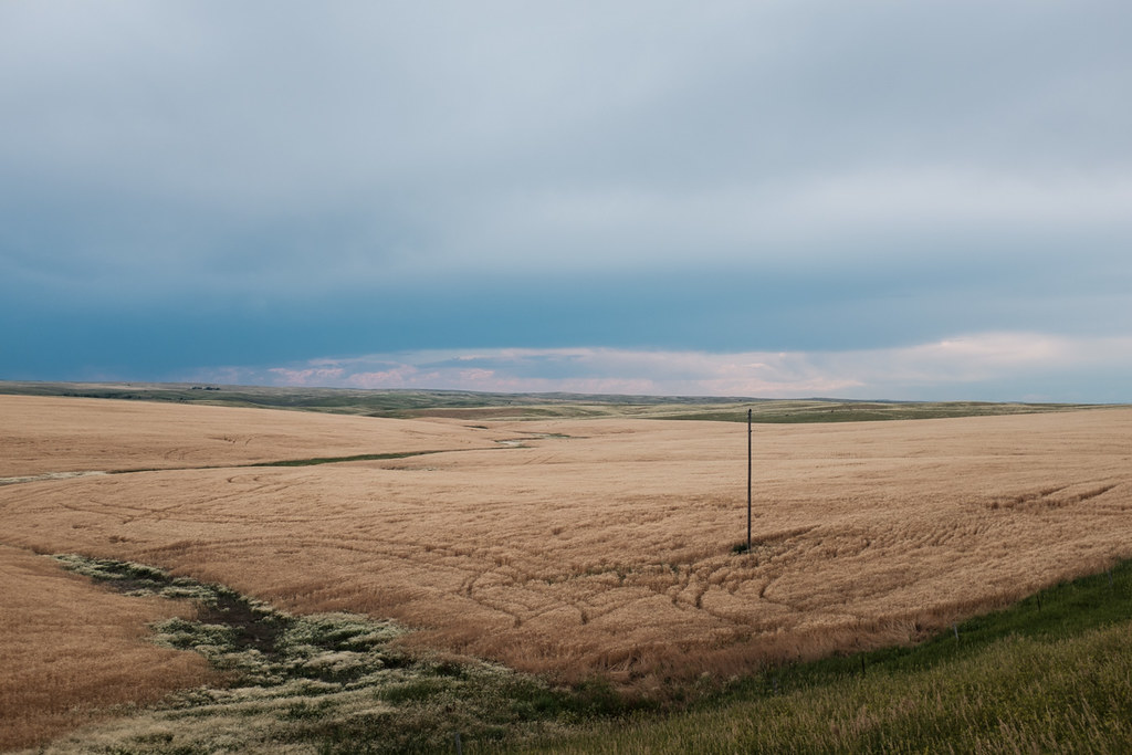 US48 Farm Island, Pierre, SD Kadoka, SD Kim Walker Flickr