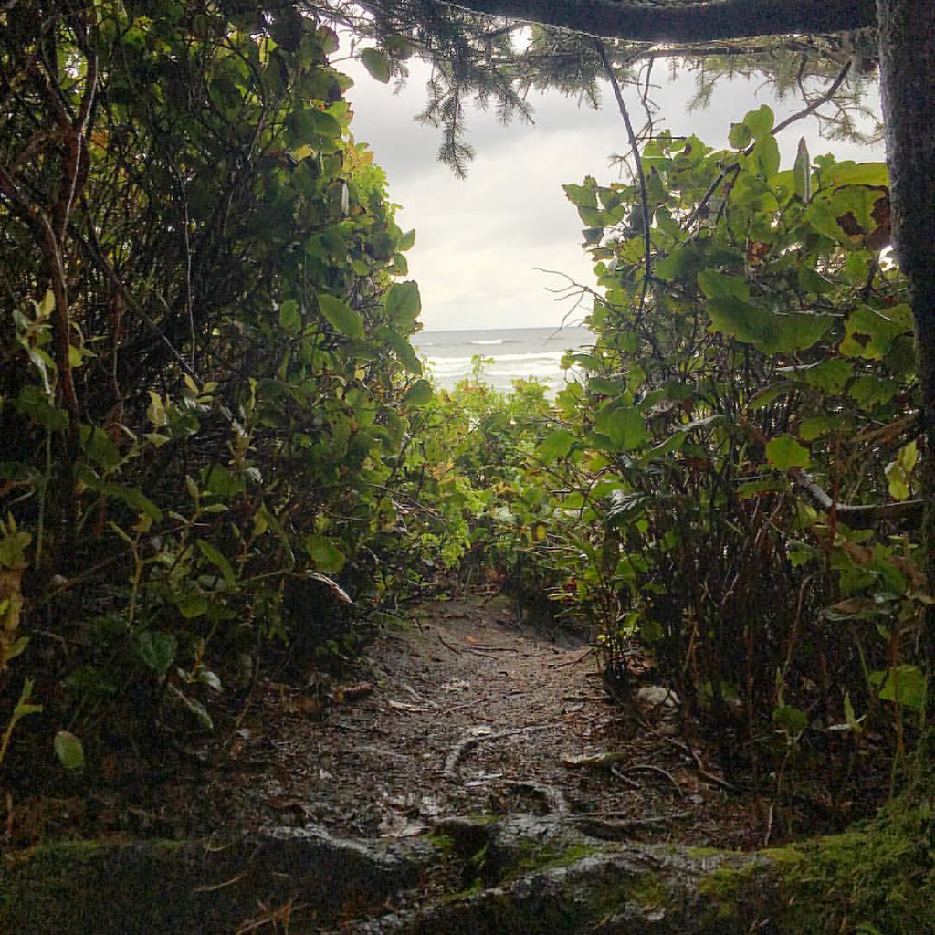 Elevation of Lynn Rd, Tofino, BC V0R, Canada Topographic Map