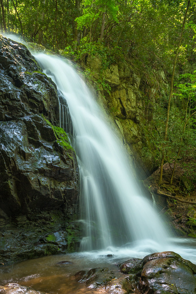 Elevation of Little Cove Rd, Sevierville, TN, USA Topographic Map