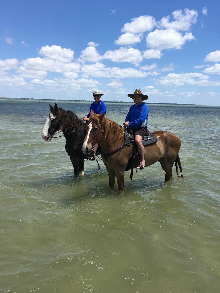 HORSE RIDING TAMPA BAY Chris Huff '93 2000 Flickr
