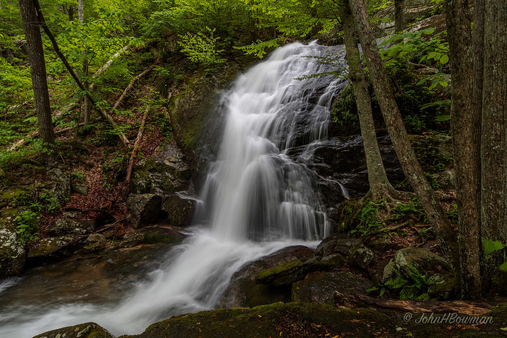 Elevation of Cyrus McCormick Cir, Raphine, VA, USA Topographic Map
