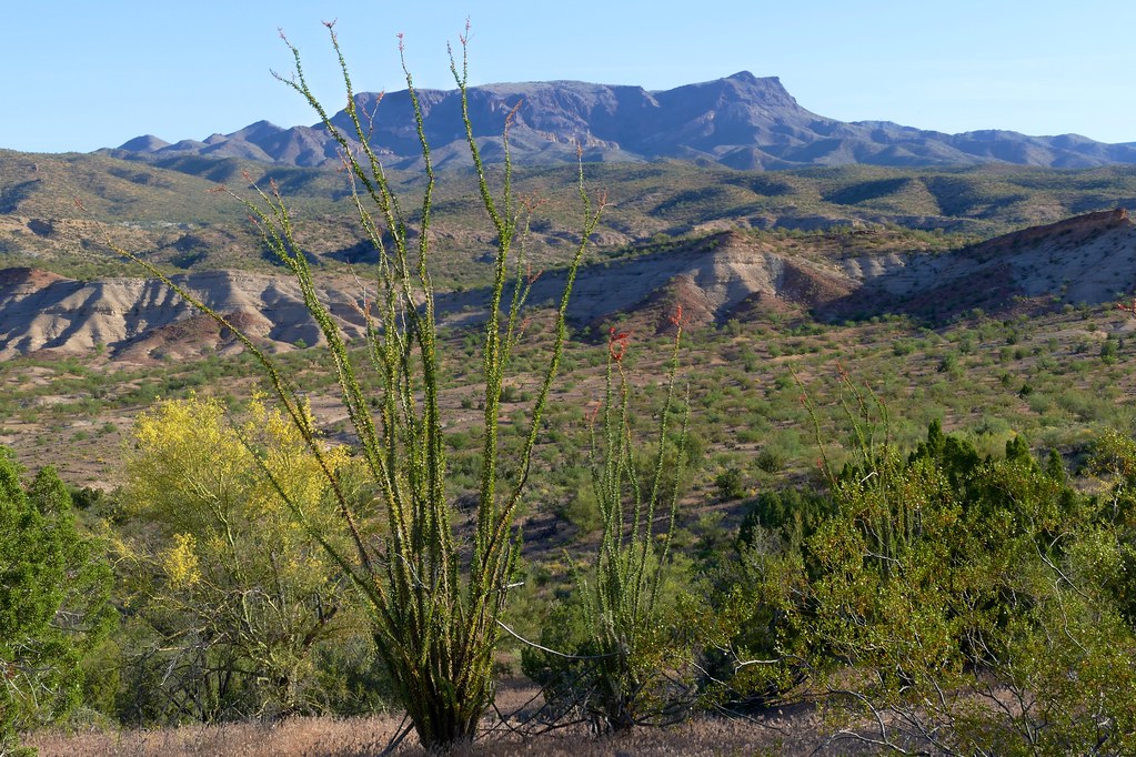 Elevation of Six Mile Crossing, AZ, USA Topographic Map Altitude Map