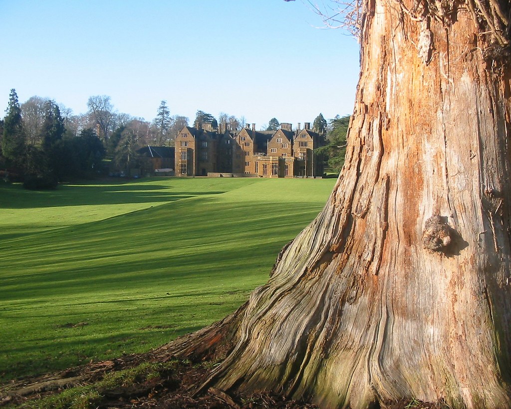 Wroxton_Tree FDU What's New Flickr