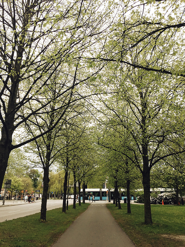 1210 Ellen Lindberg Flickr