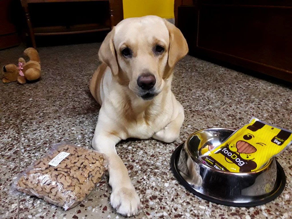 Buy Healthy Dog Food Online It's time to buy dog food onli… Flickr