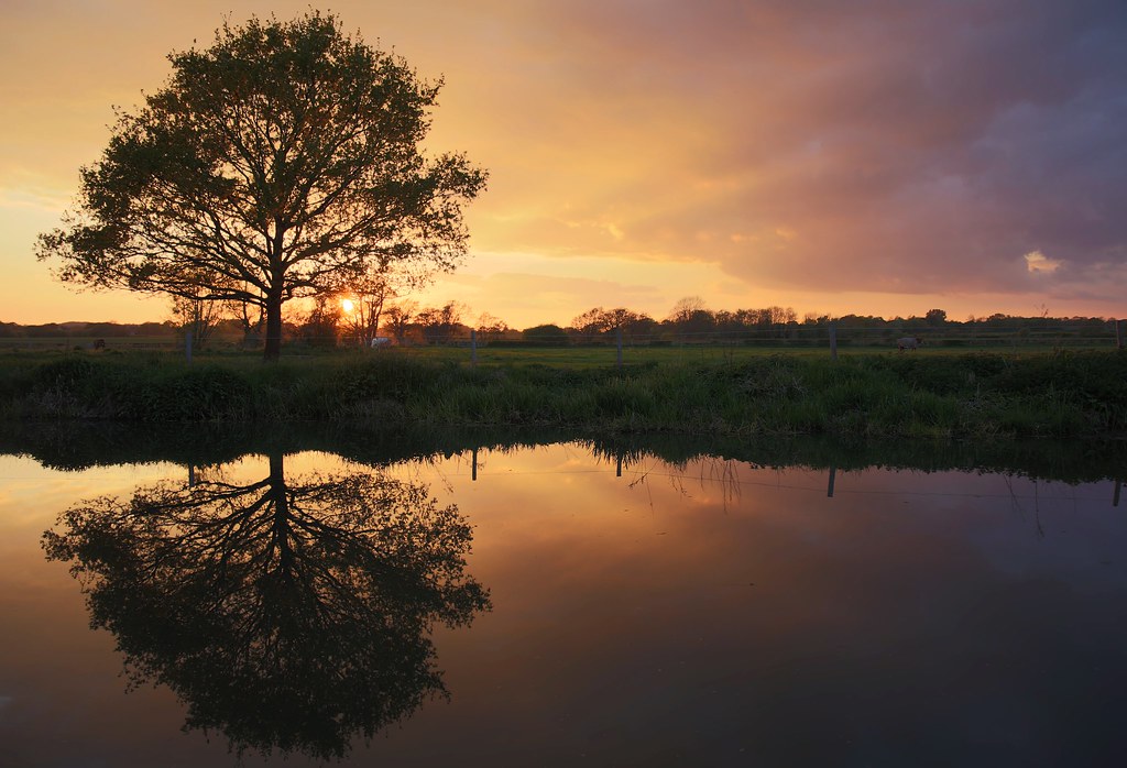 Elevation of Chelwood Gate, Haywards Heath RH17 7LF, UK Topographic