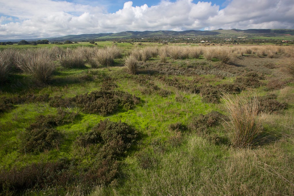 landscape Aldinga Washpool South Australia photo by Julie … Flickr