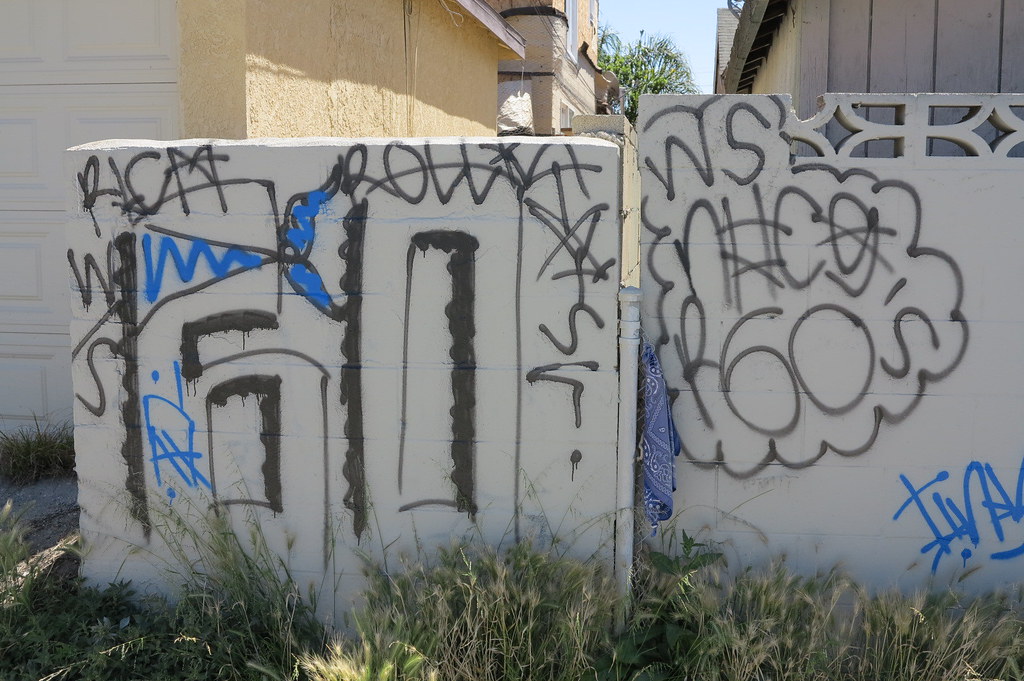 ROLLIN 60's NHOOD CRIPS Los Angeles, CA. Brad Flickr