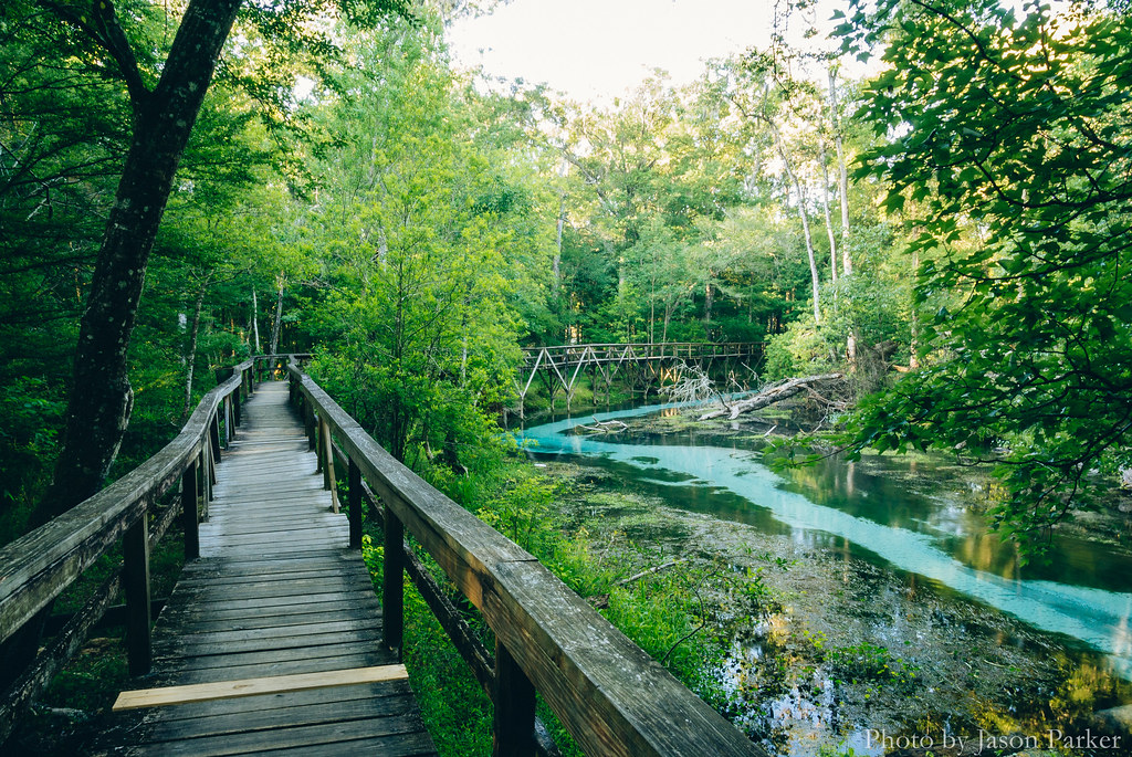 Gilchrist Blue Springs I'll admit it now an inordinate a… Flickr