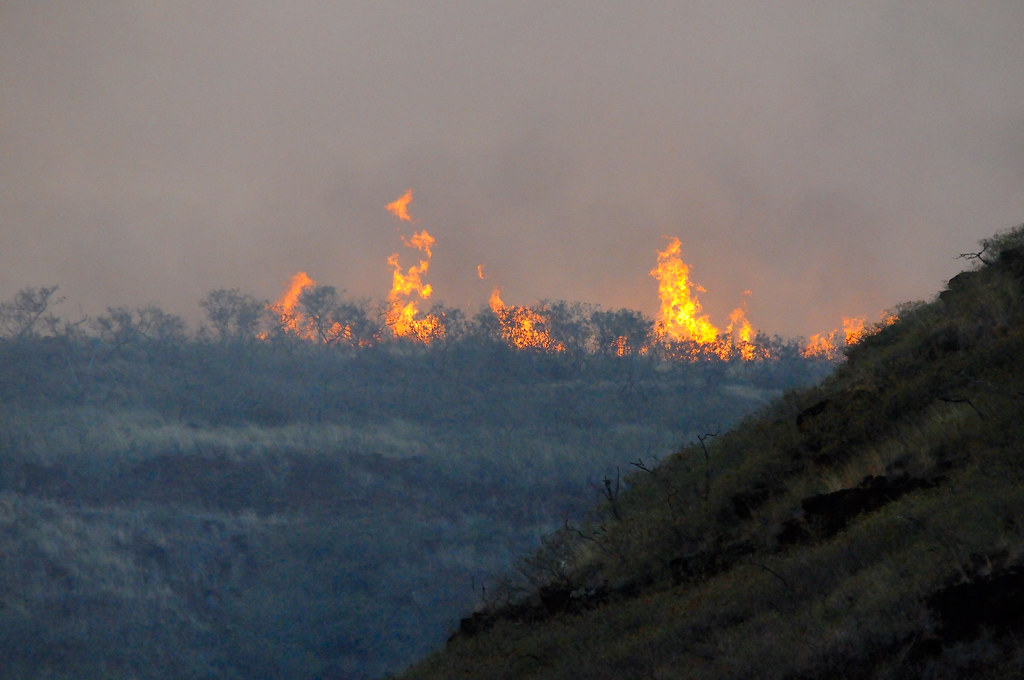 2017 Waimea Heights Fire Flickr