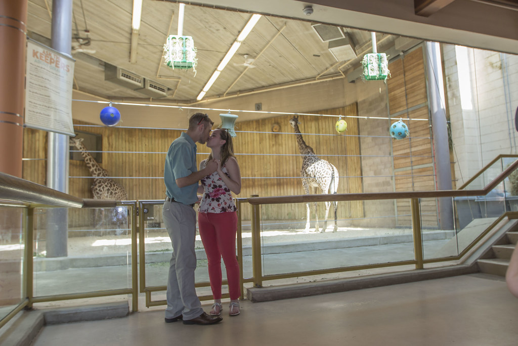 IMG_1175 Elizabeth Caron Flickr