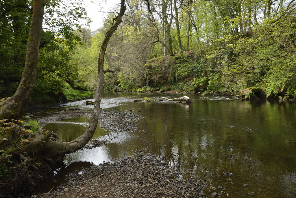 Knaresborough (277) River Nidd Richard Southwell Flickr