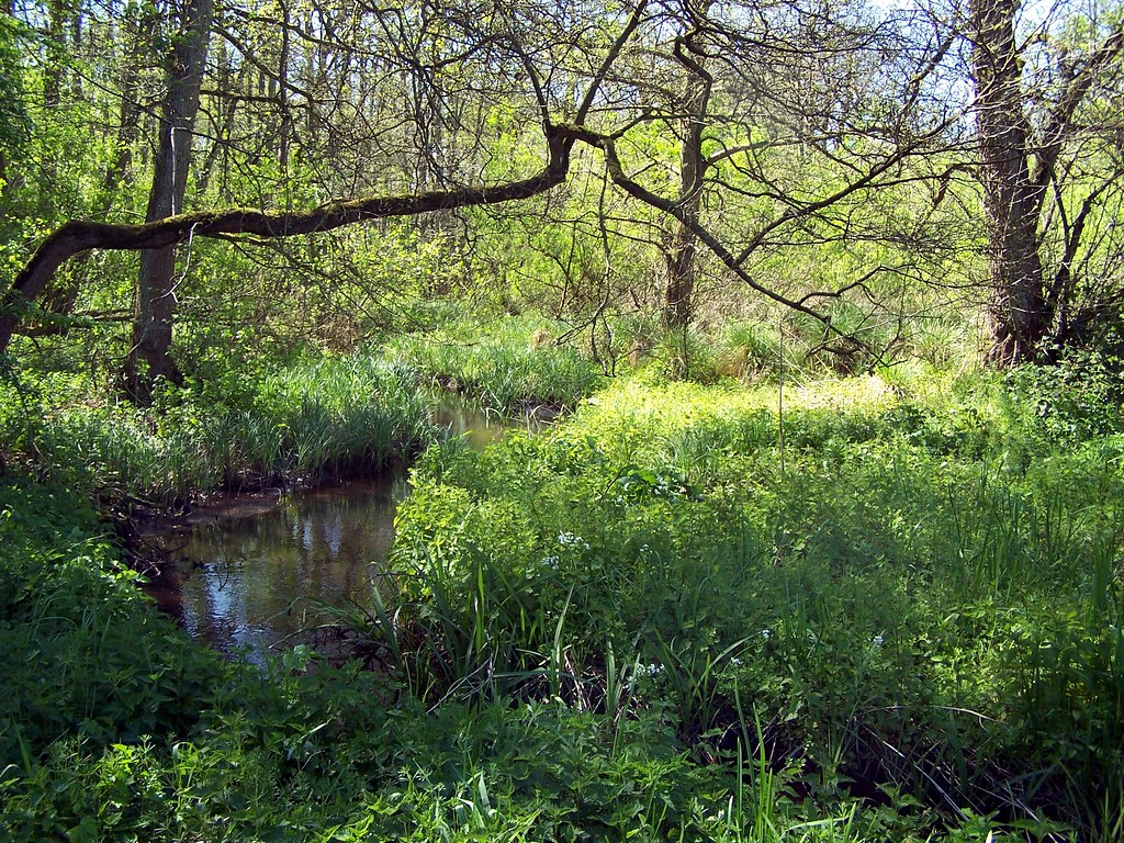 Jackson's Marsh Near Walk Mill Staffordshire Uk 6th May 20… Flickr