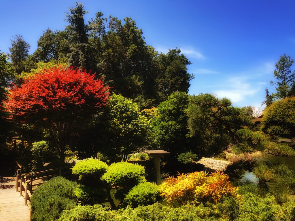 Japanese garden in San Mateo Onno Kluyt Flickr