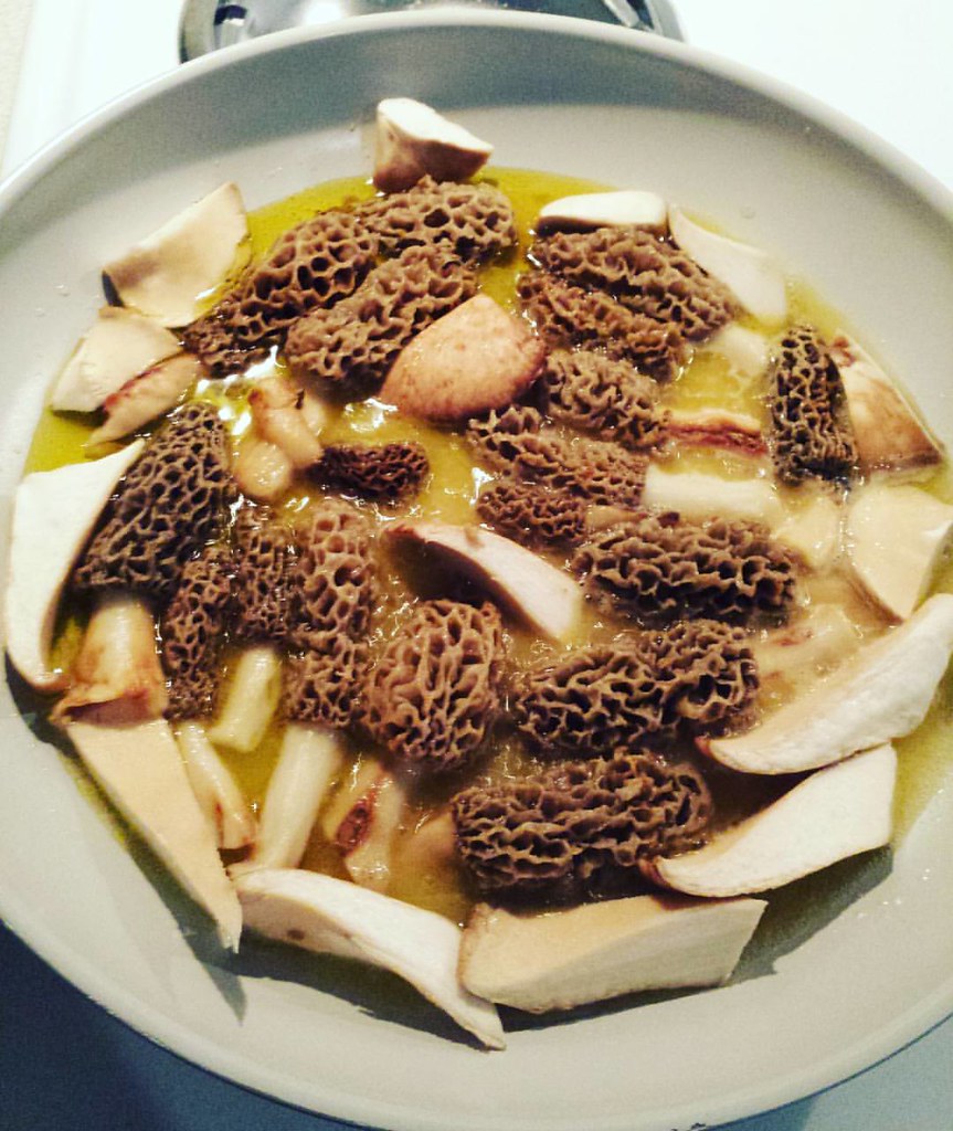 On my stove this morning for breakfast. morels morelmush… Flickr