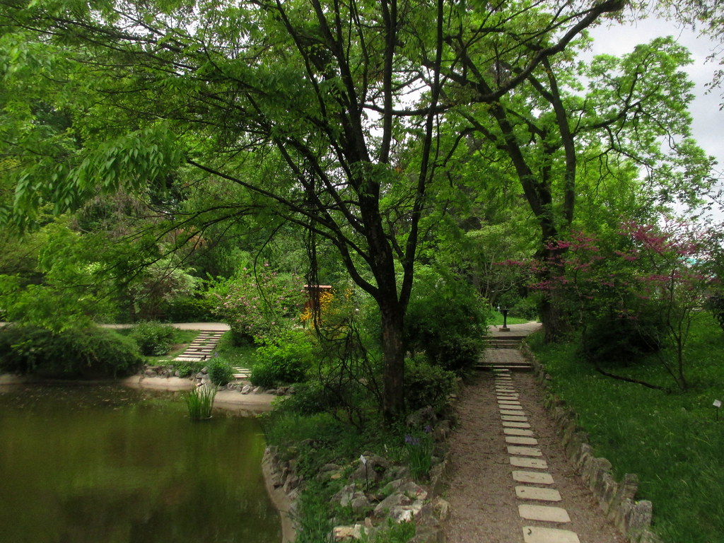 ClujNapoca Botanical Garden Cluj / Kolozsvár / Klausenbur… Flickr