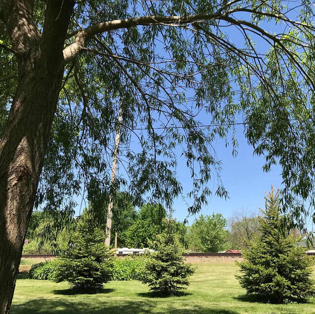 Visiting Ogden Iowa. I haven’t been here in several years.… Flickr