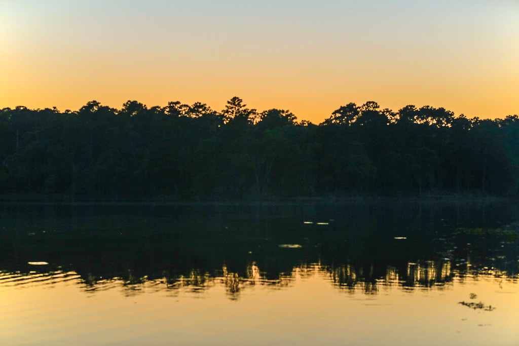 Elevation of TX75, Huntsville, TX, USA Topographic Map Altitude Map