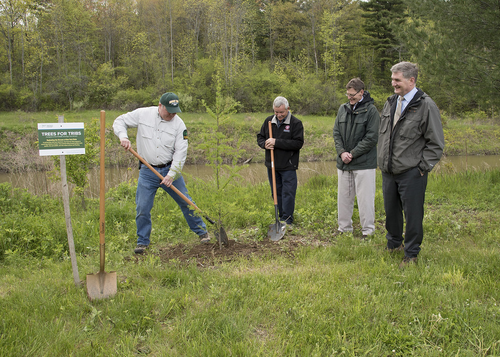 TreesForTribs036 Trees for Tribs 100,000th Tree Planting NYS DEC